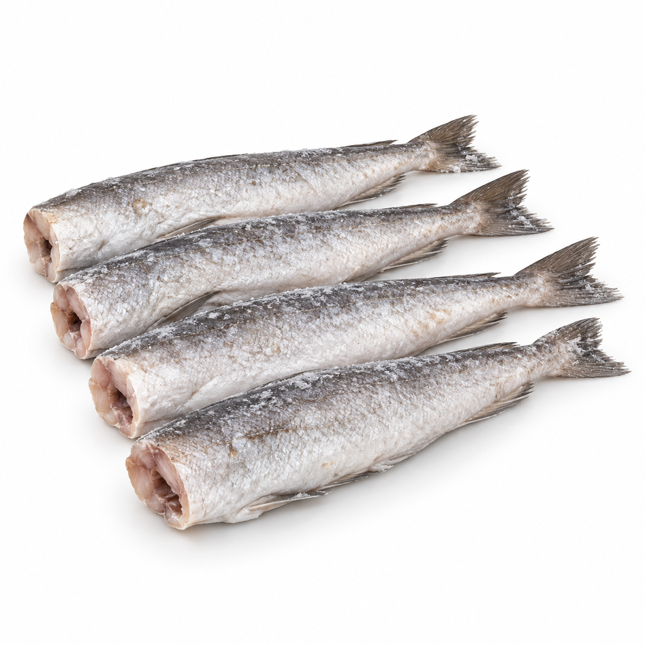 Merluciu HGT congelat la mare — Ilustrație AI